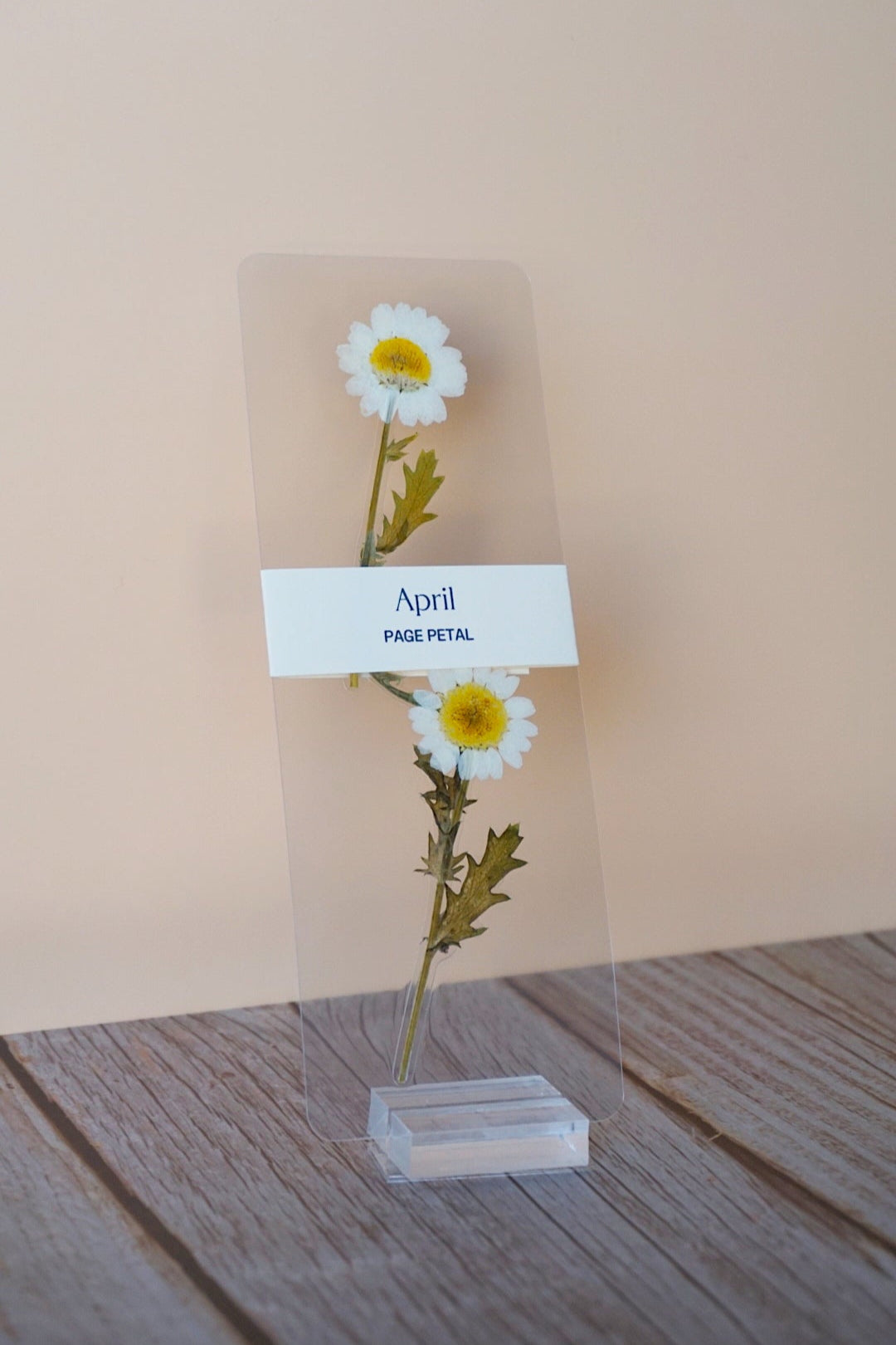 April Birth Month Flower Bookmark