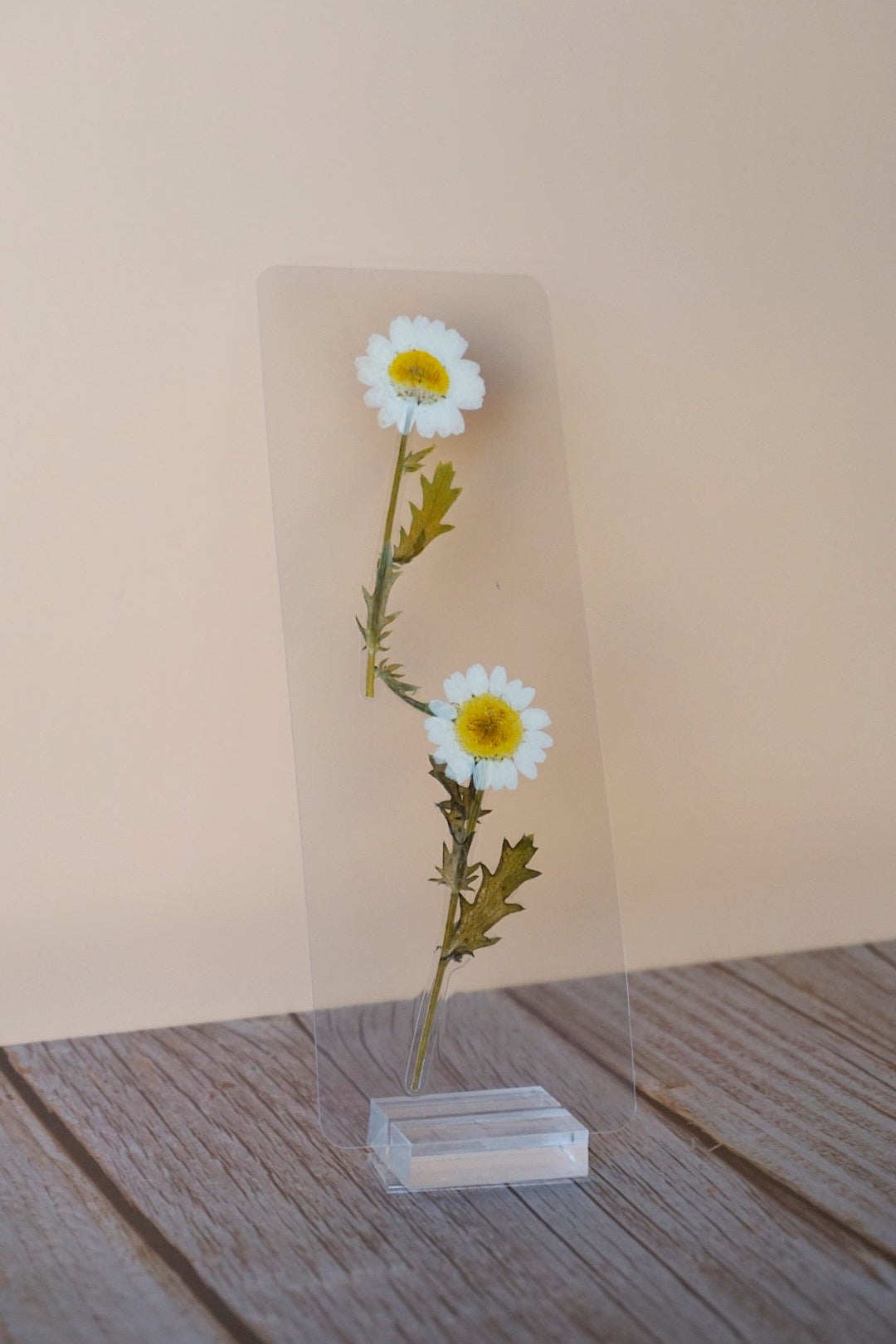 April Birth Month Flower Bookmark