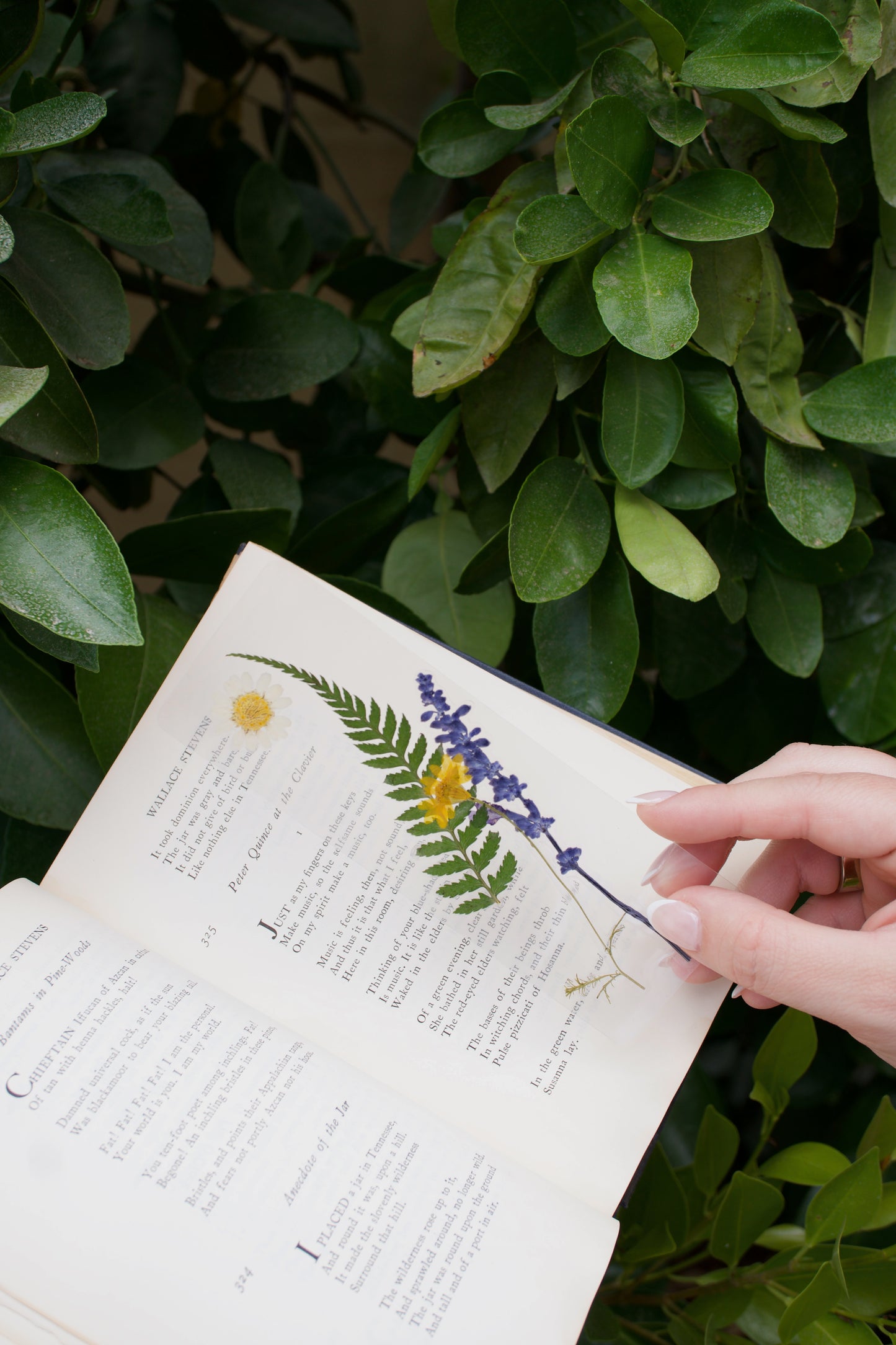 Courage Pressed Flower Bookmark | Sentiment Collection