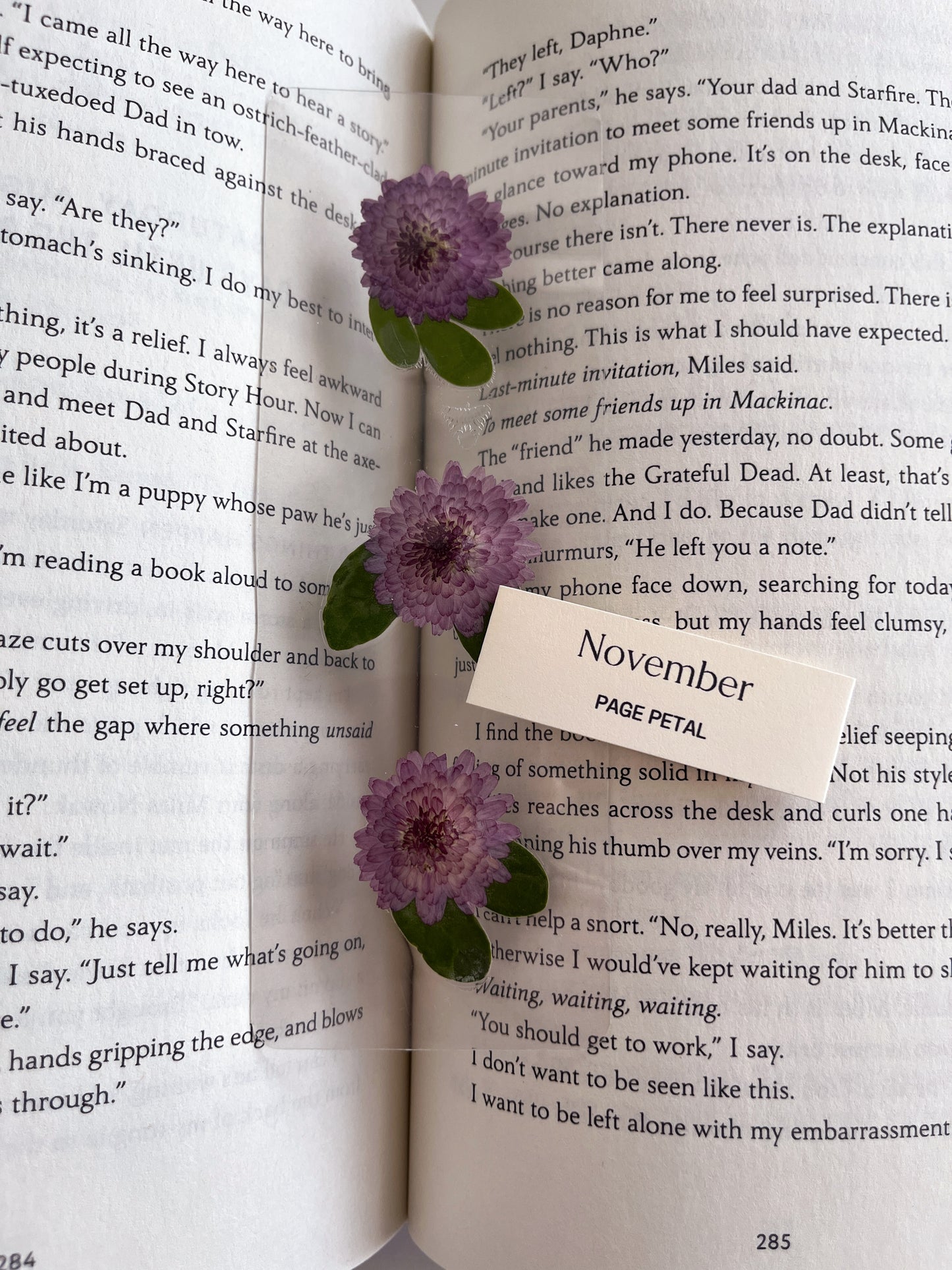 November Birth Month Flower Bookmark