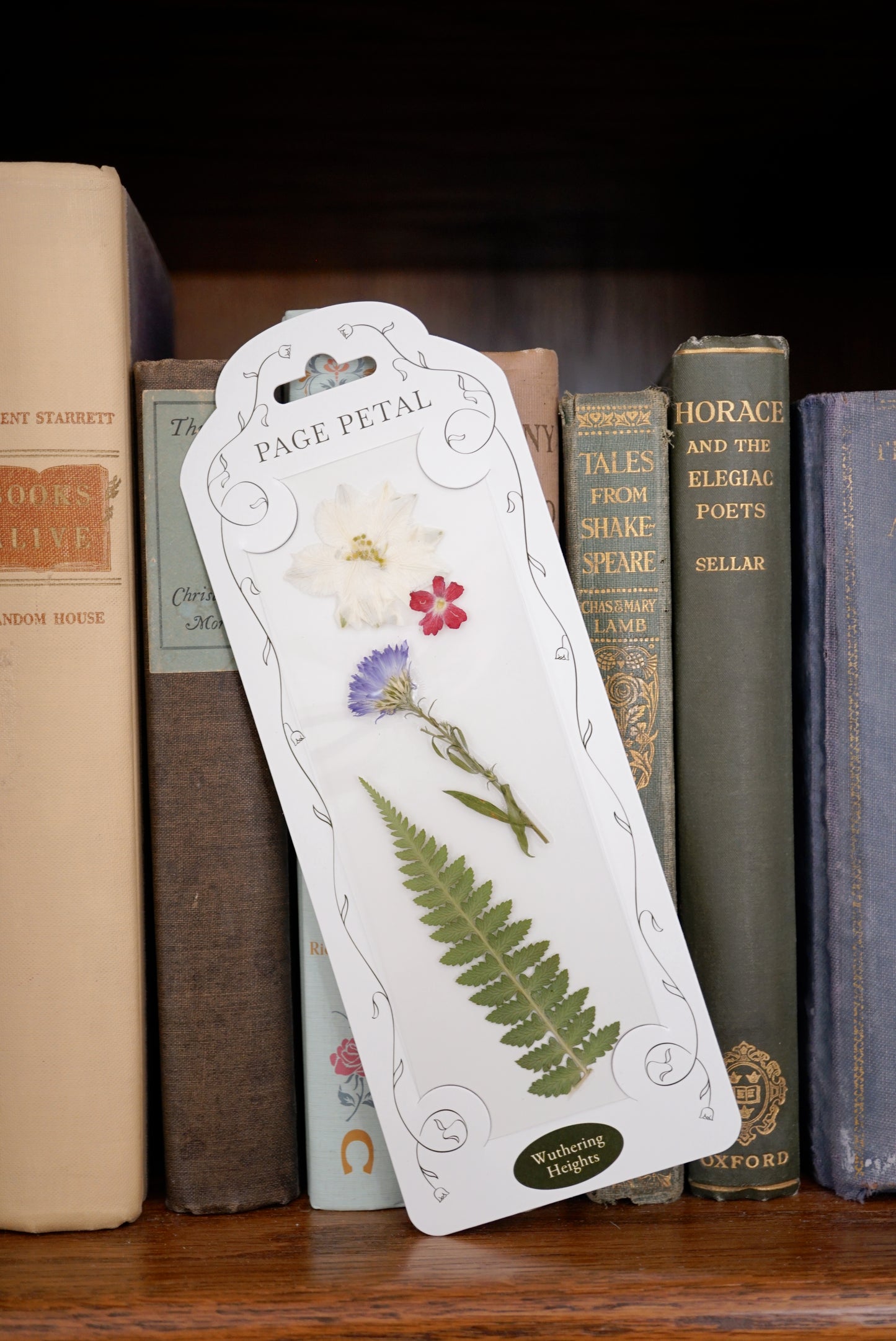 Wuthering Heights Bookmark | For the Wildly Devoted Heart