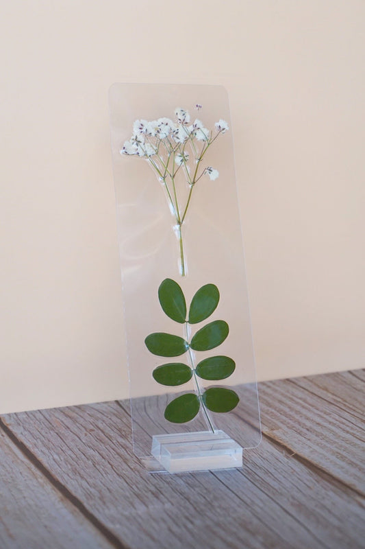 Draco Malfoy Bookmark
