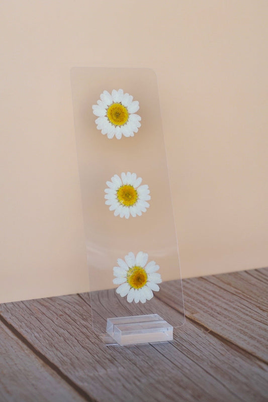 Daisy Haites Bookmark