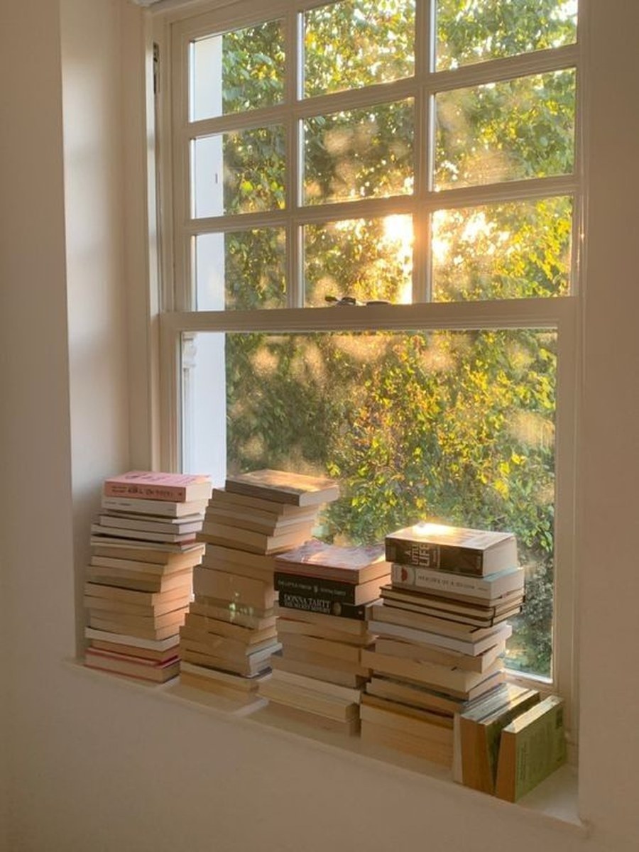 Stacks of books on a sunlit window sill