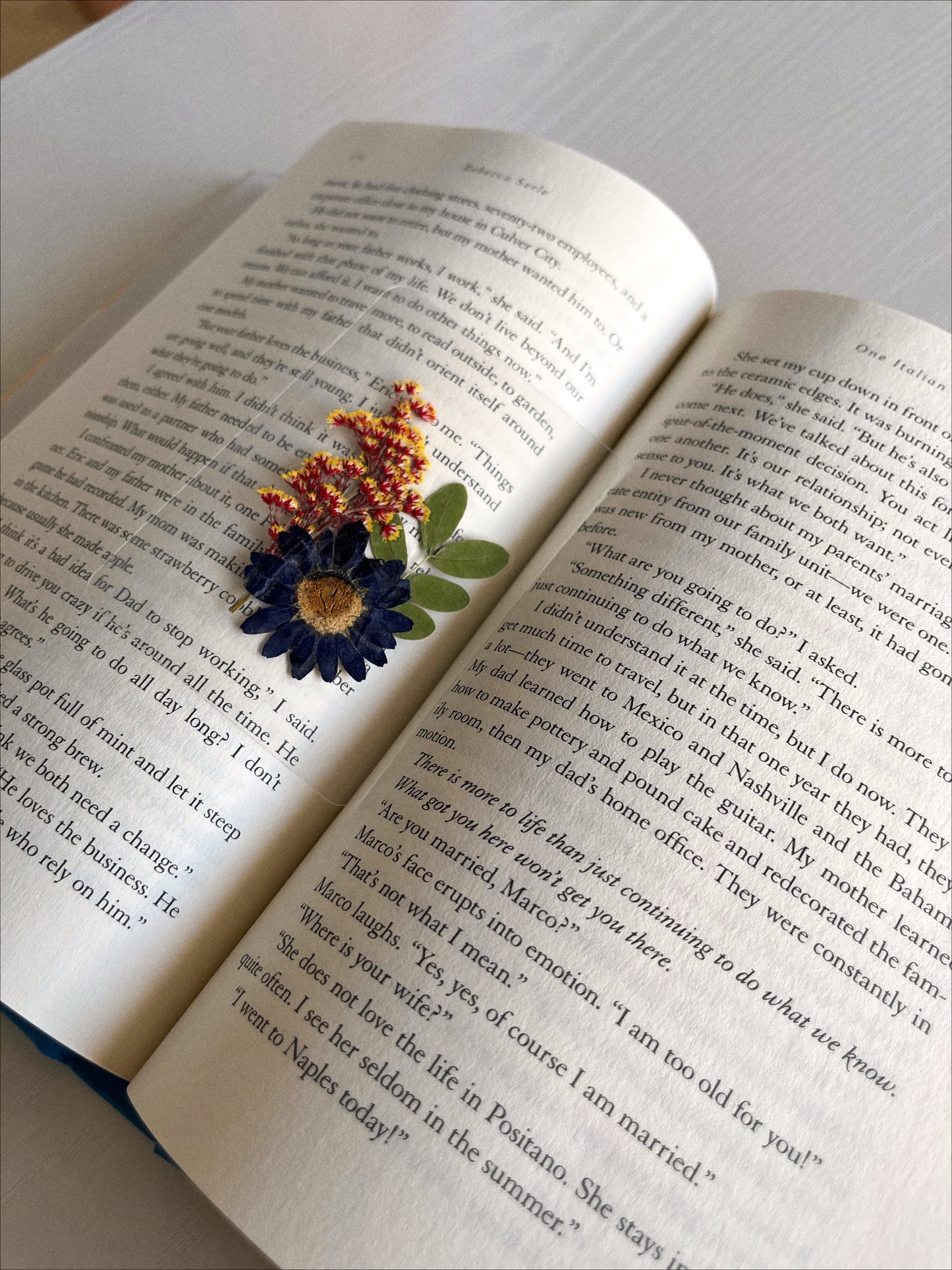 Jess Mariano Bookmark