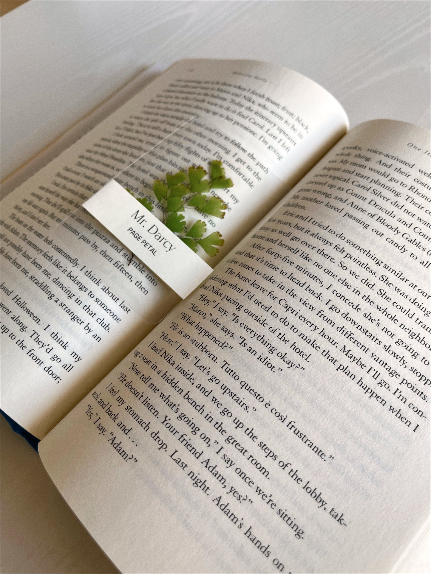 Mr. Darcy Bookmark
