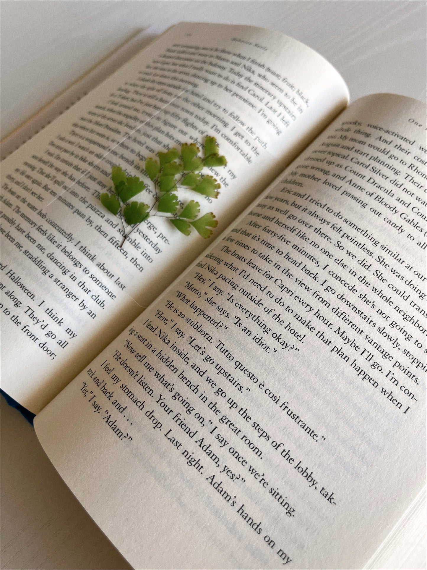 Mr. Darcy Bookmark