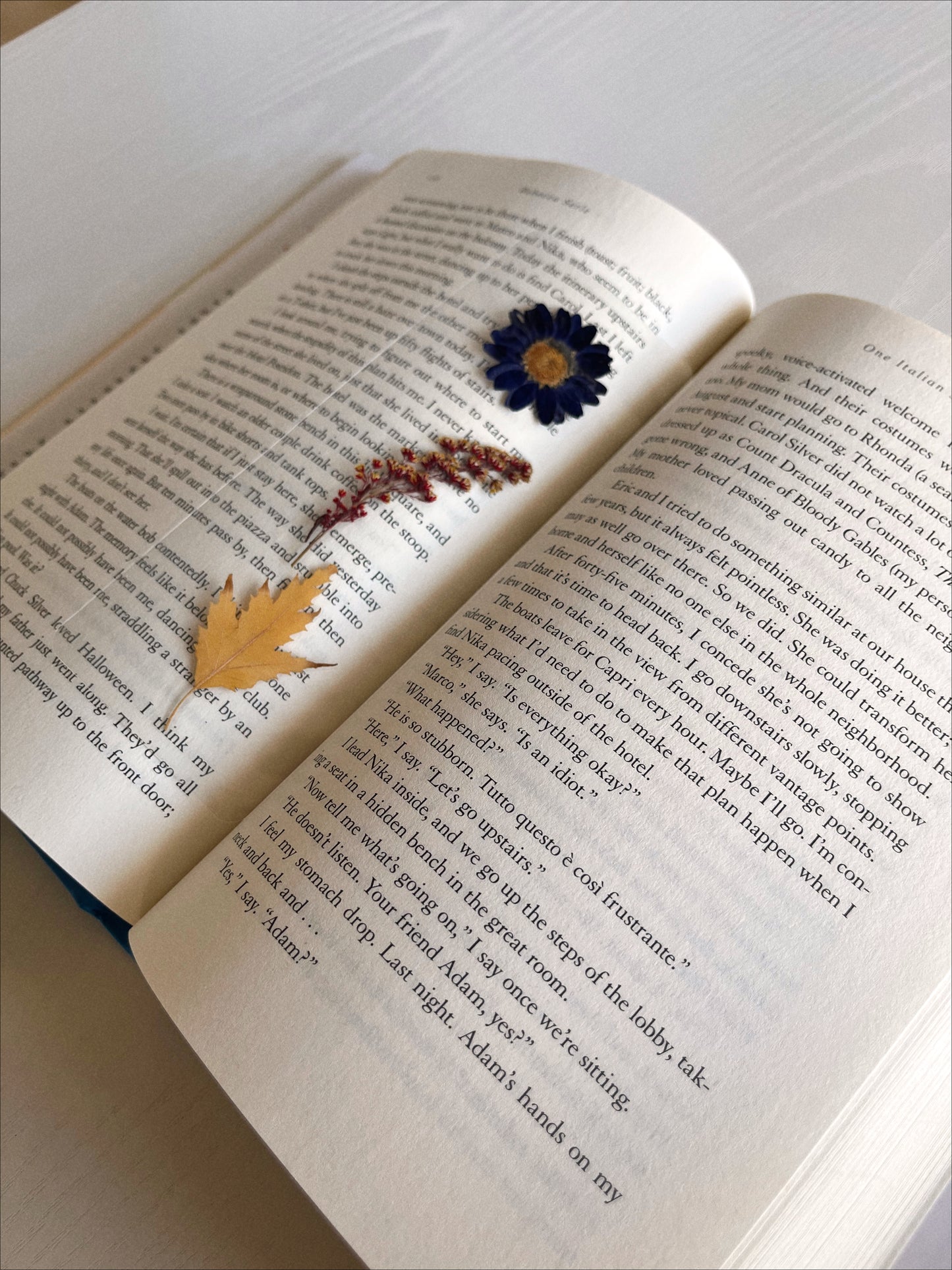 Remus Lupin Bookmark