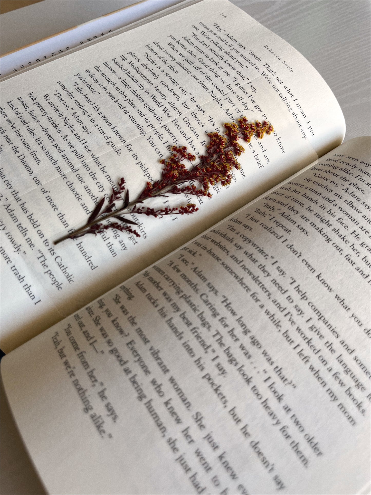Ron Weasley Bookmark