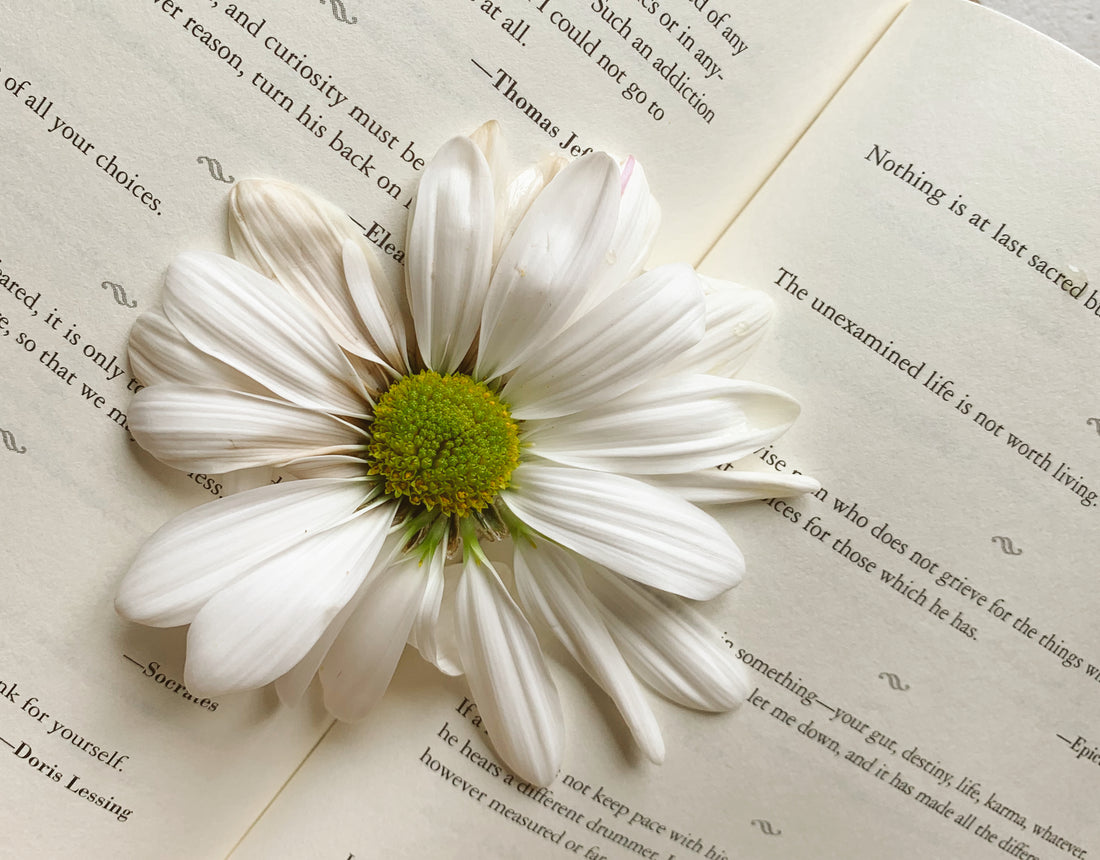 26 Reading Quotes to Remind You of the Magic of Books