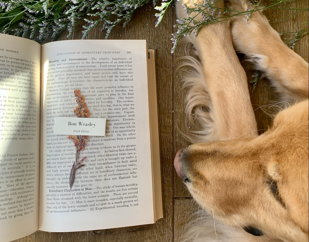 A Cute Roundup of Flower Pressed Bookmarks & Furry Friends