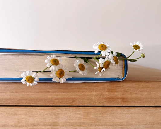 Where Petals Meet Pages: Peep Our Bookmarks