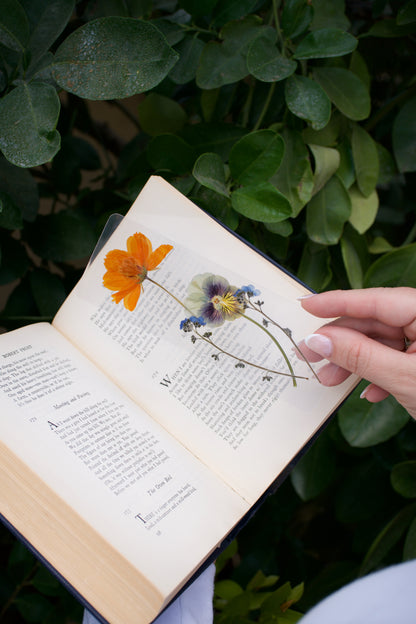 Bloom Pressed Flower Bookmark | Sentiment Collection
