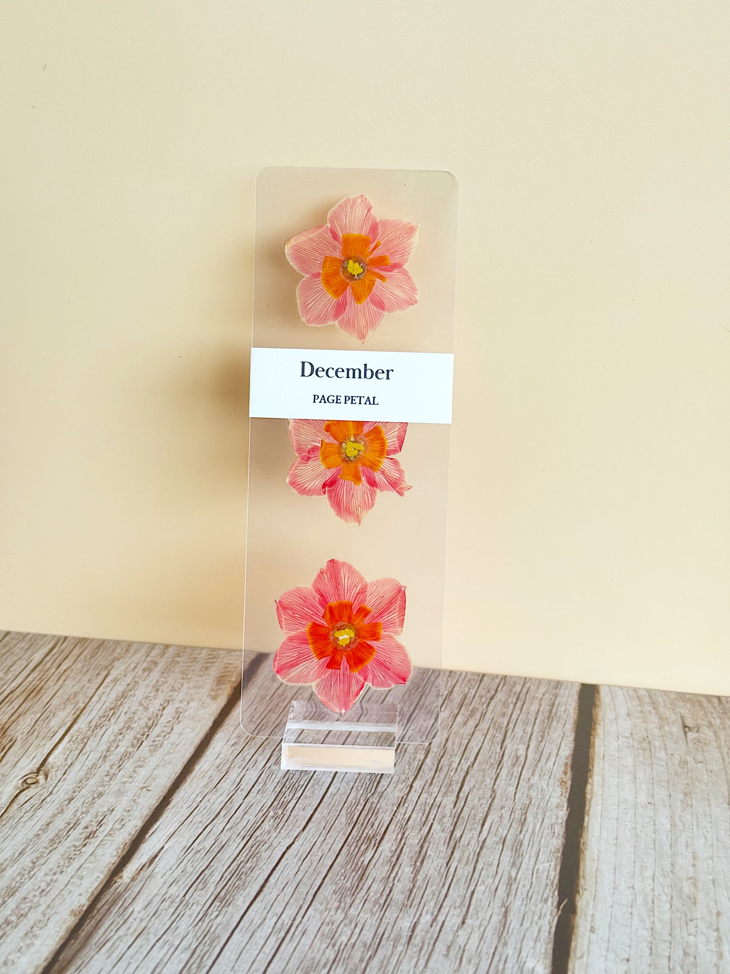 December Birth Month Flower Bookmark