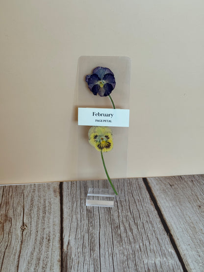 February Violet Bookmark | Birth Month Flower Gift