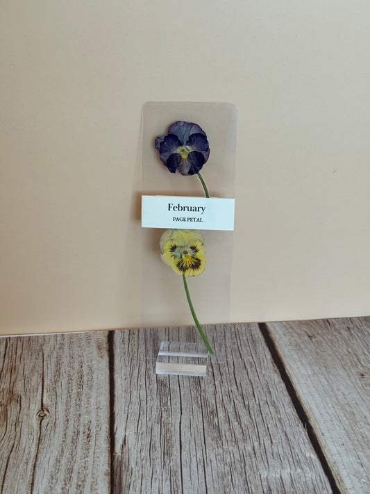 February Birth Month Flower Bookmark