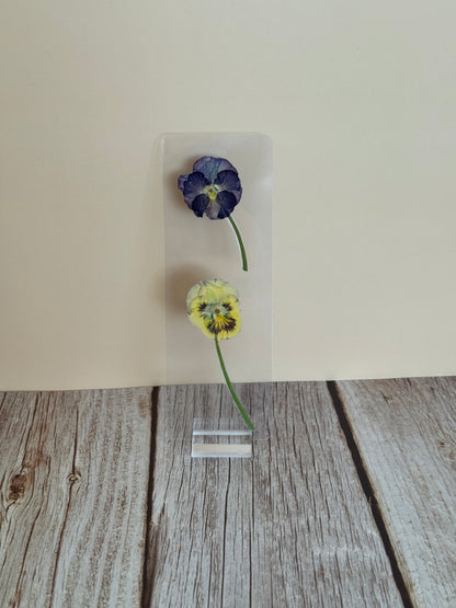 February Violet Bookmark | Birth Month Flower Gift