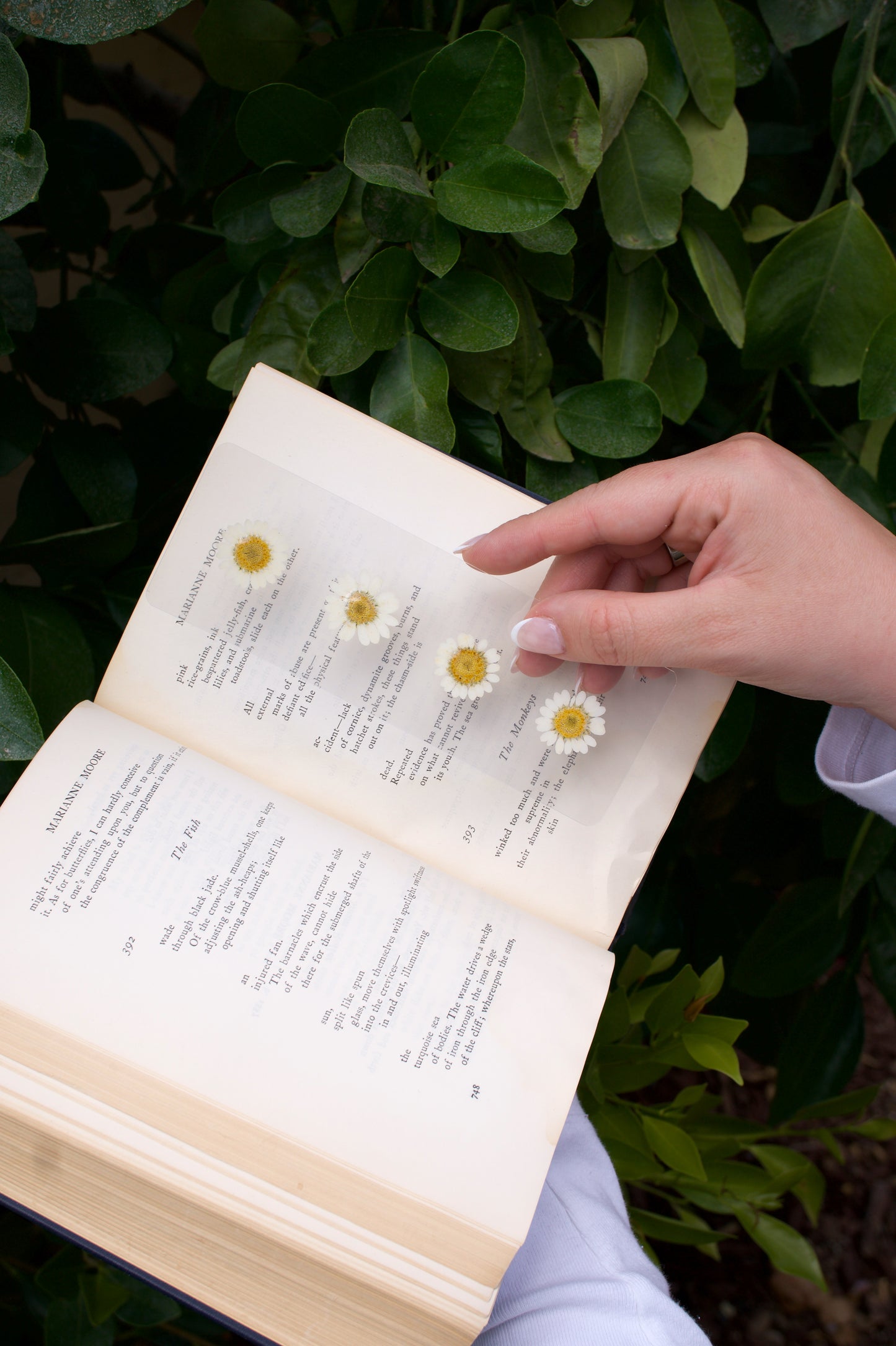 Hope Pressed Flower Bookmark | Sentiment Collection