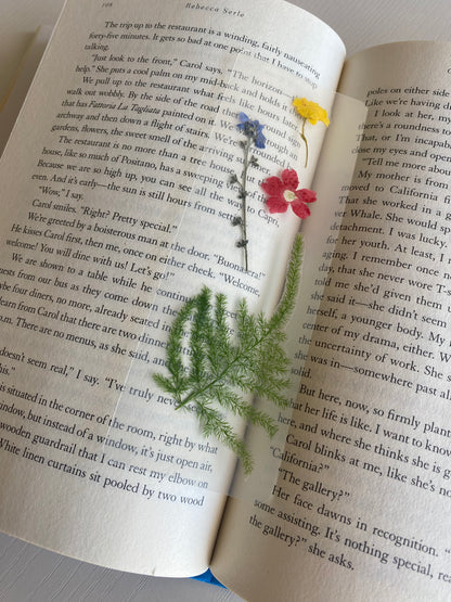 Lucy Gray Baird Bookmark