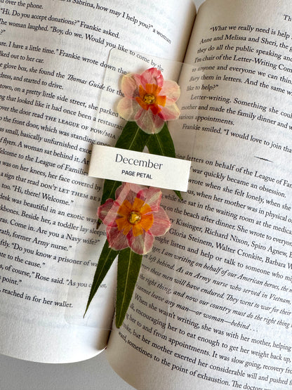 December Birth Month Flower Bookmark