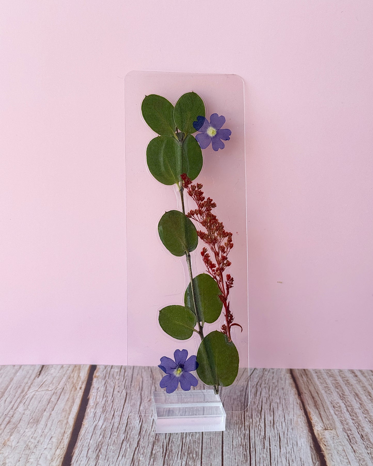 Jacob Black Bookmark