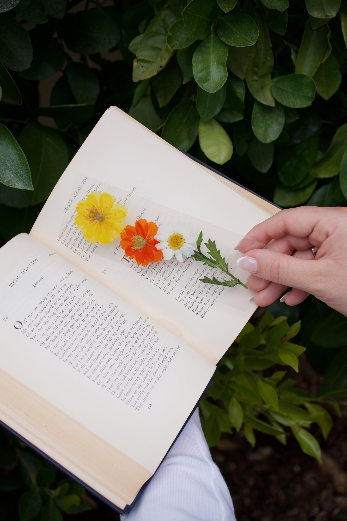 Joy Pressed Flower Bookmark | Sentiment Collection