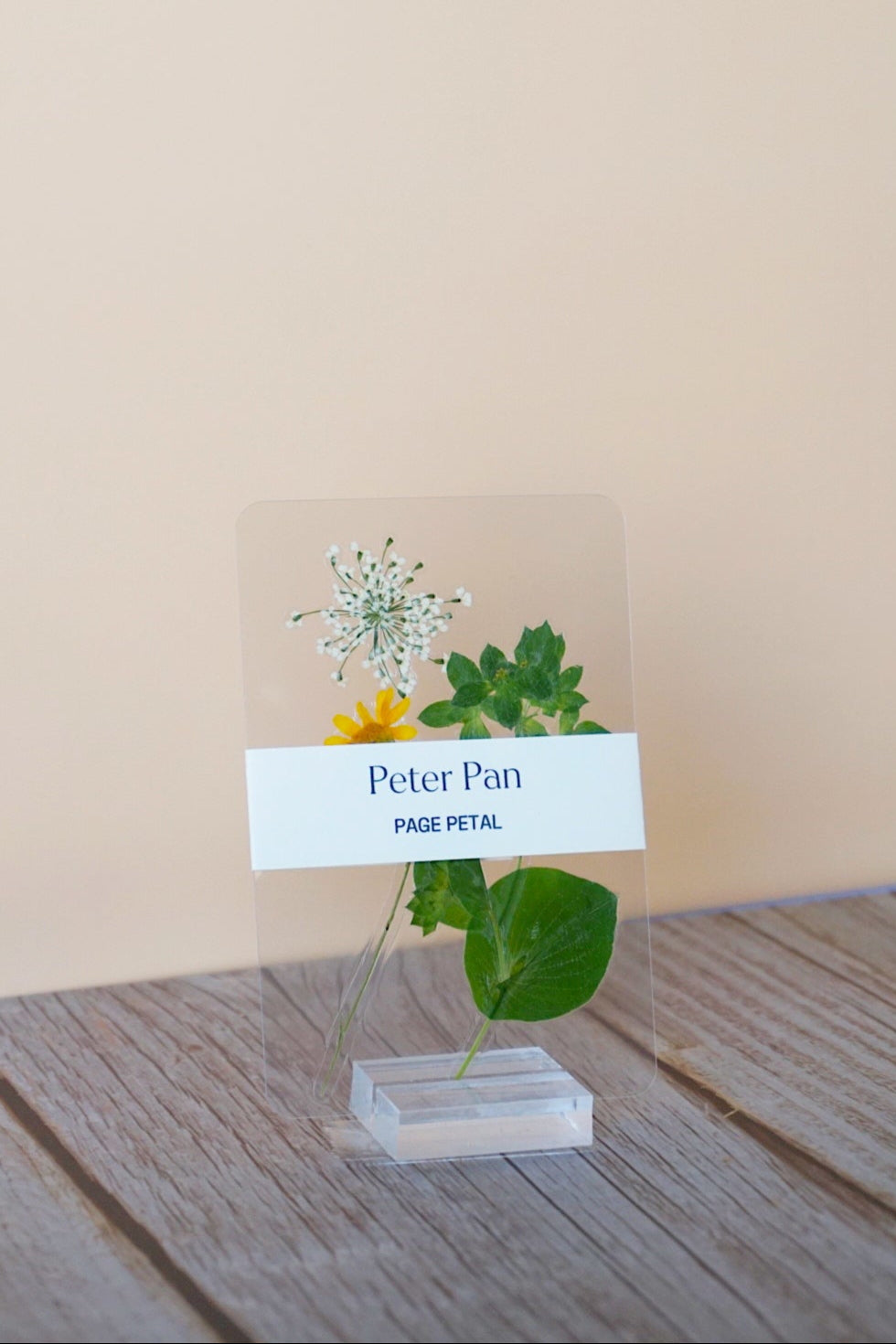 Peter Pan Bookmark