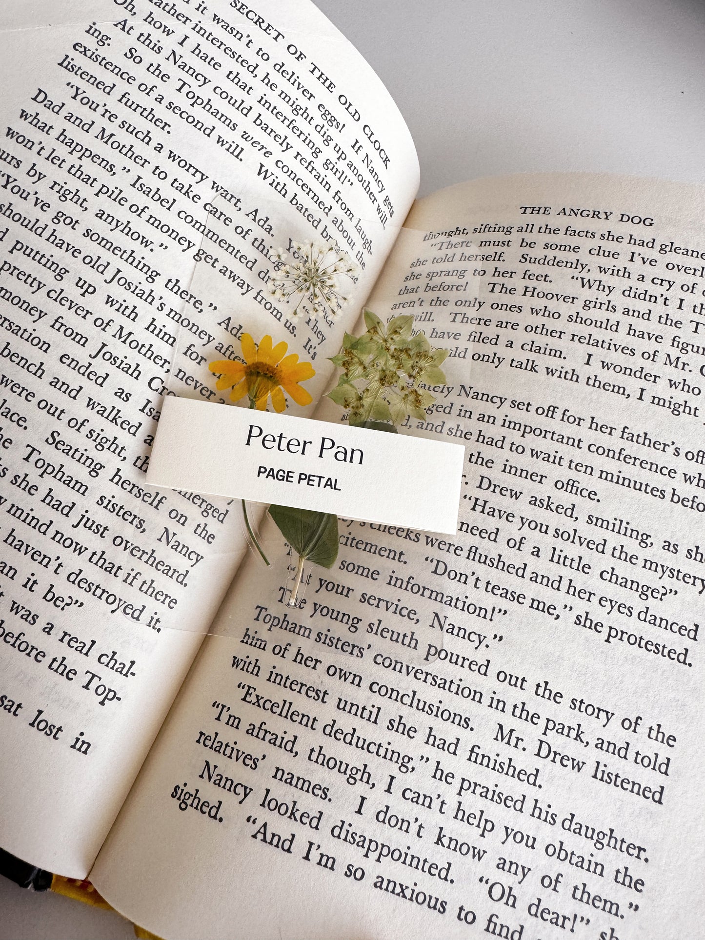 Peter Pan Bookmark