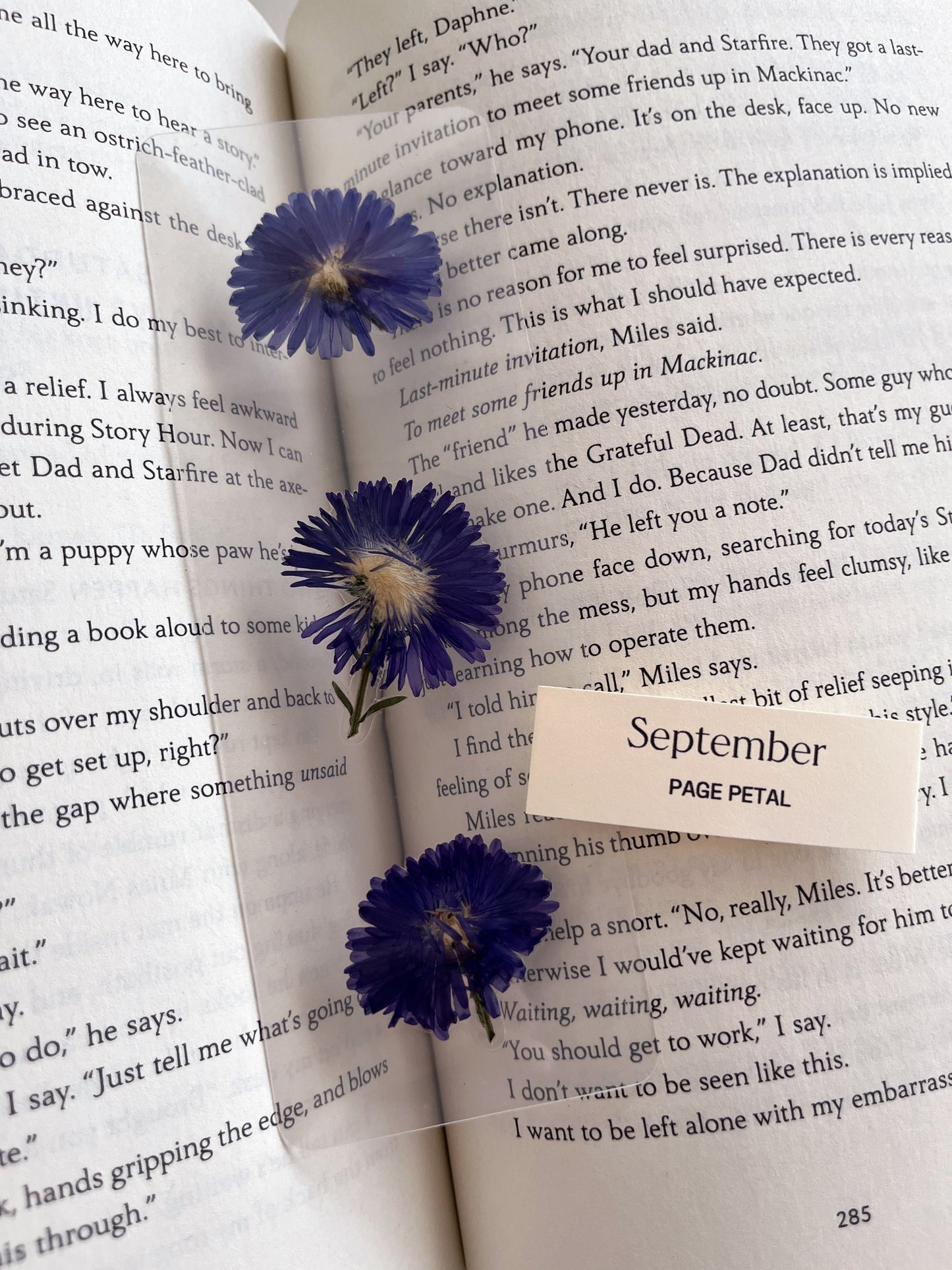 September Birth Month Flower Bookmark