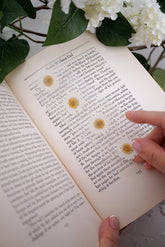 Page Petal
