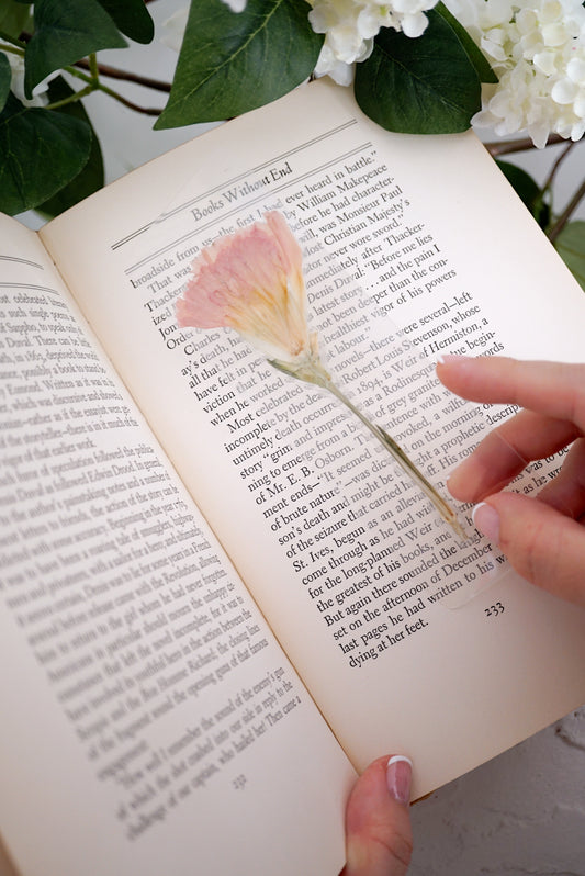 January Carnation Bookmark | Birth Month Flower Gift