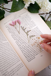 Page Petal