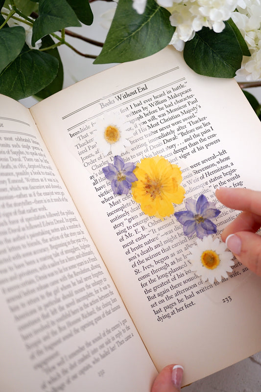 Violet Sorrengail Bookmark | For the One Who Proved Wrong