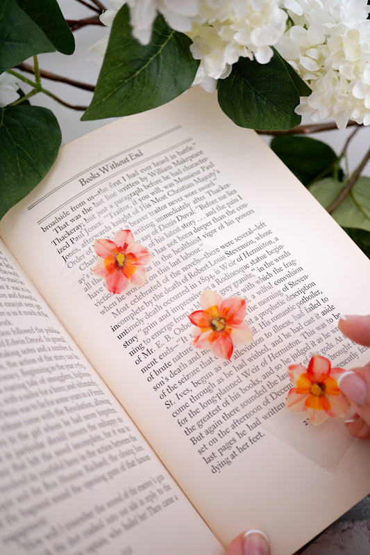 December Narcissus Bookmark | Birth Month Flower Gift