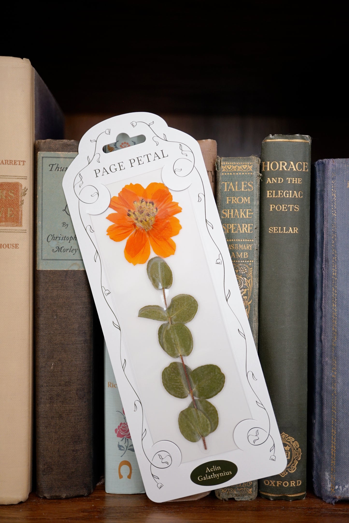 Aelin Galathynius Bookmark | For the Woman Who Blazes