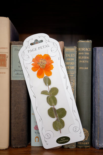 Aelin Galathynius Bookmark | For the Woman Who Blazes