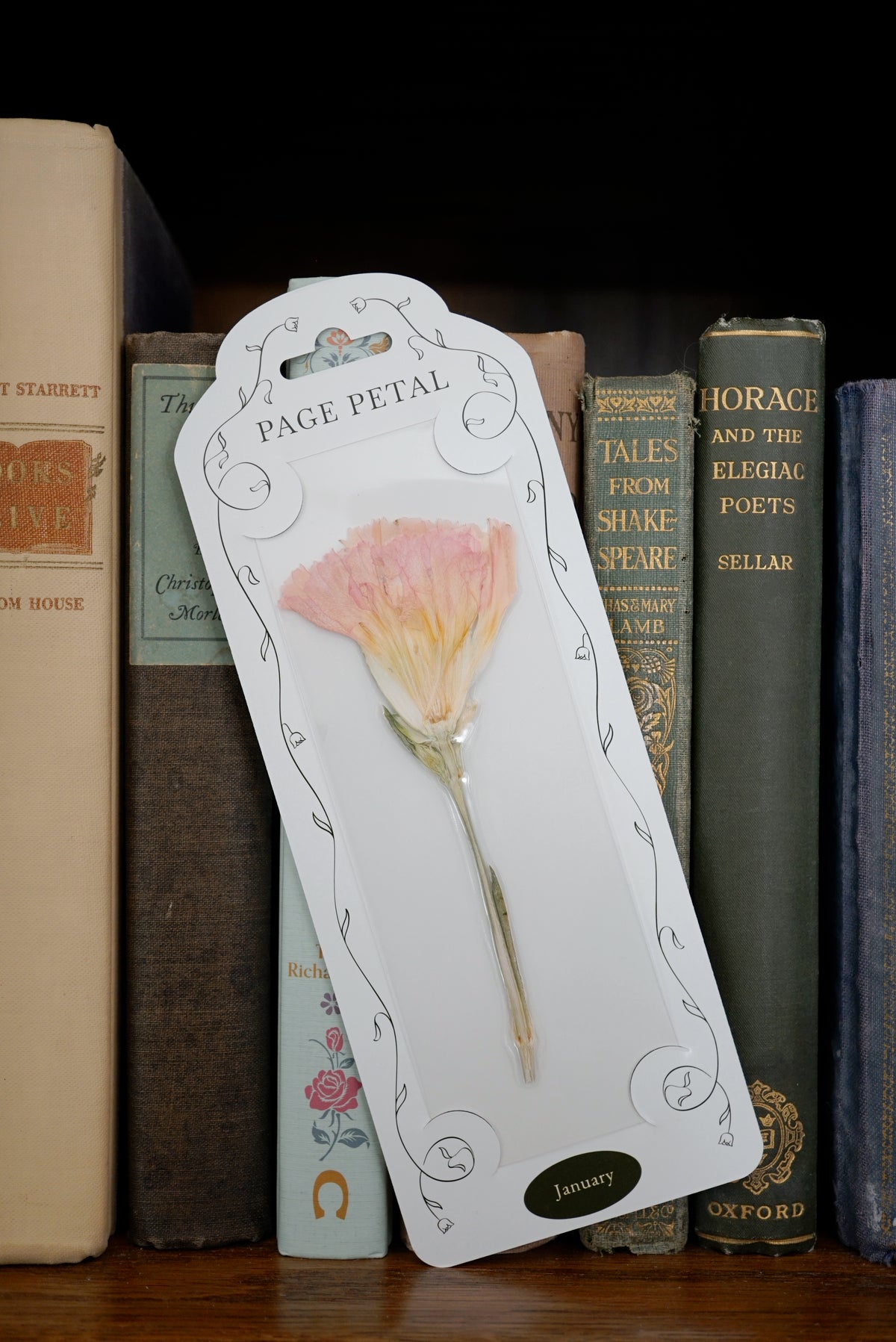 January Carnation Bookmark | Birth Month Flower Gift