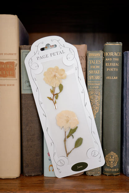 June Rose Bookmark | Birth Month Flower Gift