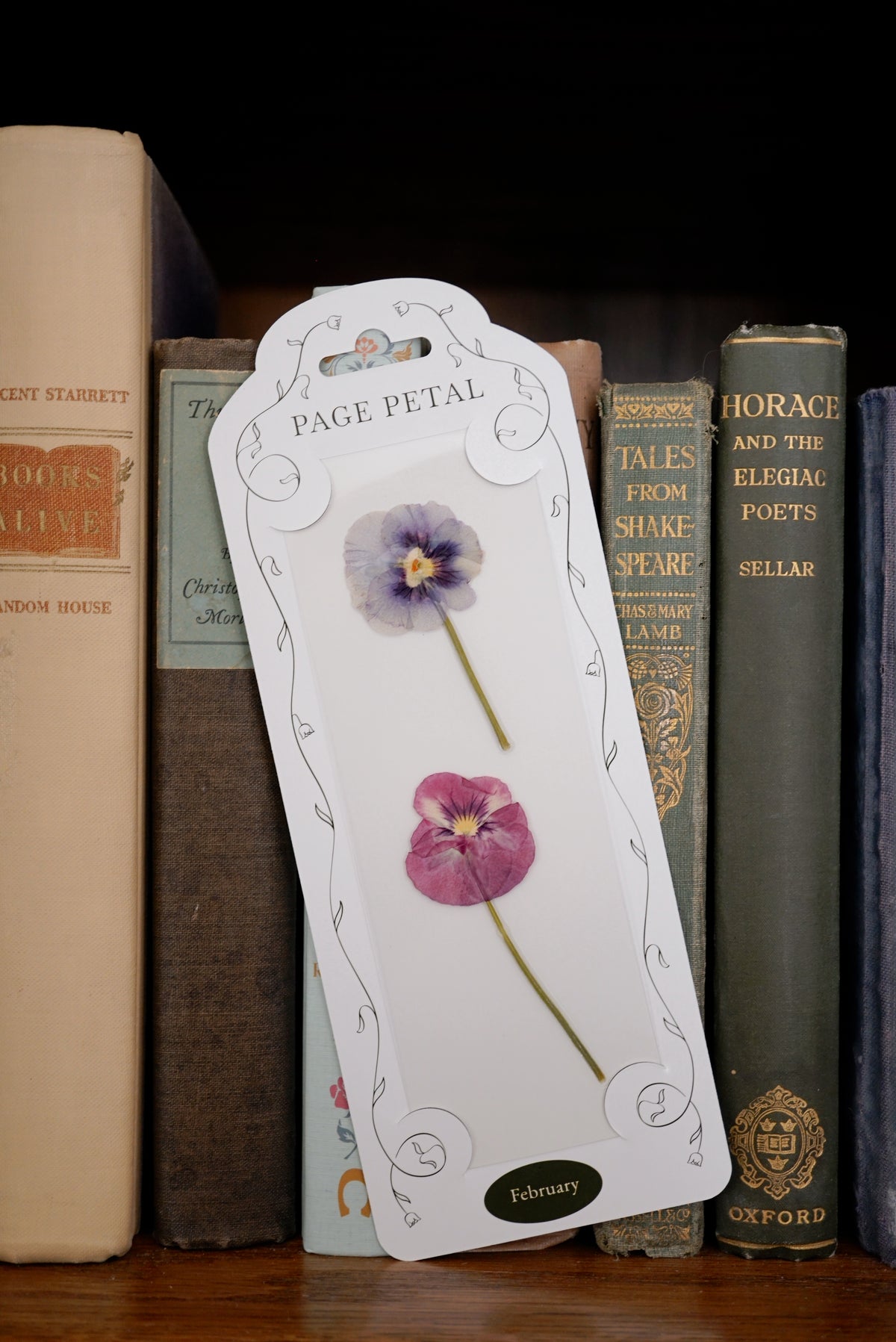 February Violet Bookmark | Birth Month Flower Gift