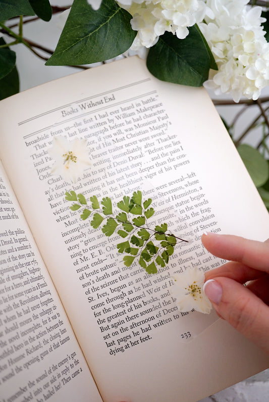 Mr. Darcy Bookmark | For the One Waiting for Her Love Story