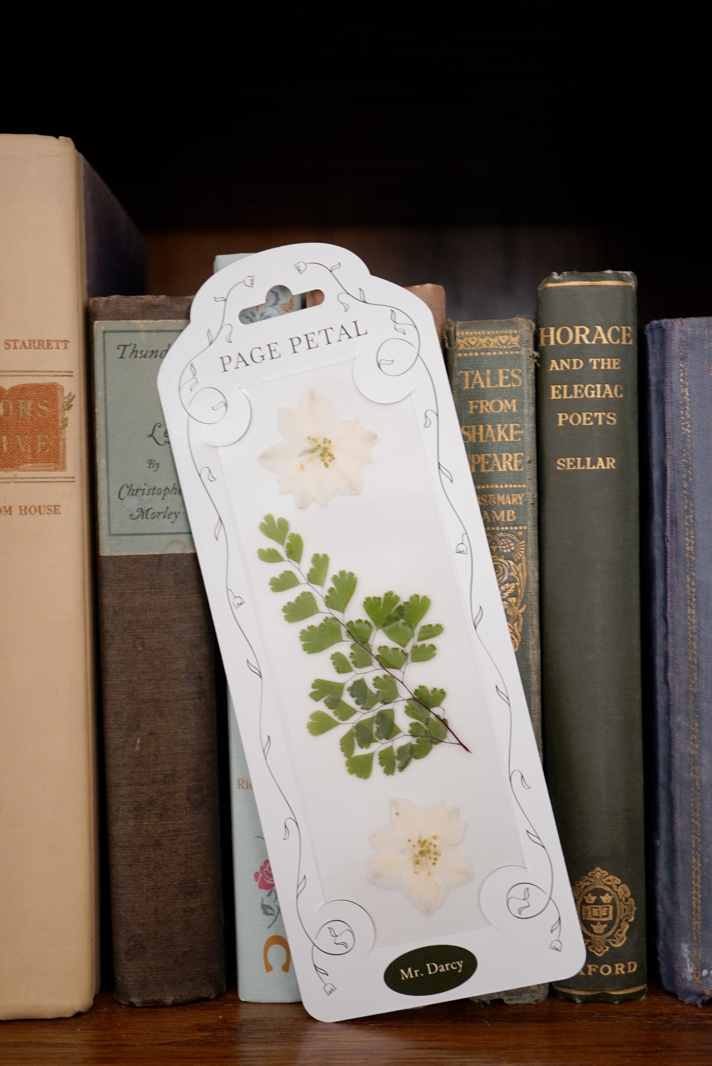 Mr. Darcy Bookmark | For the One Waiting for Her Love Story
