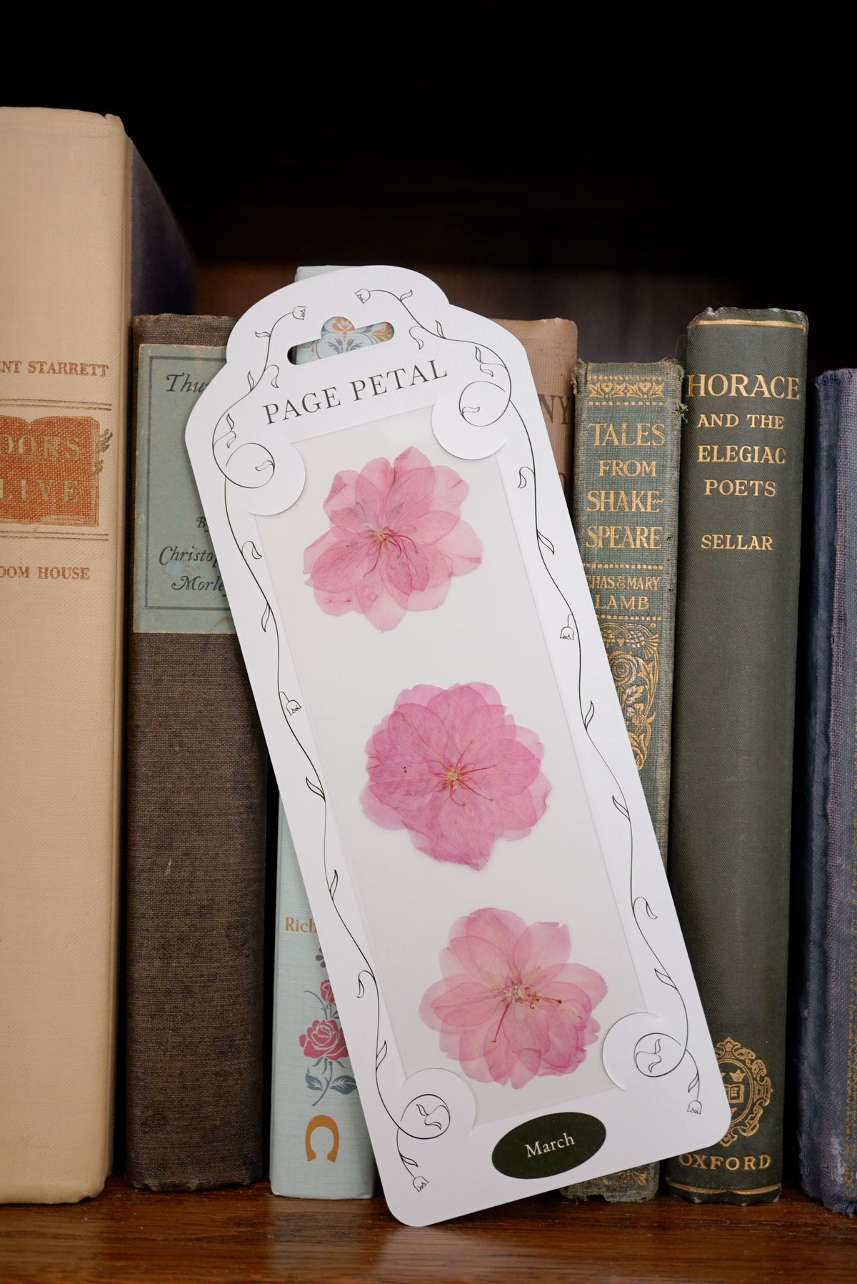 March Cherry Blossom Bookmark | Birth Month Flower