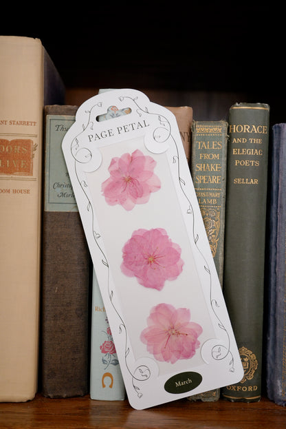 March Cherry Blossom Bookmark | Birth Month Flower