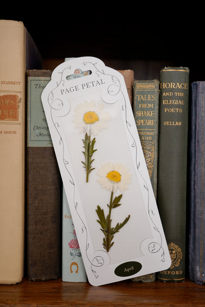 April Daisy Bookmark | Birth Month Flower Gift