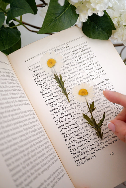 April Daisy Bookmark | Birth Month Flower Gift