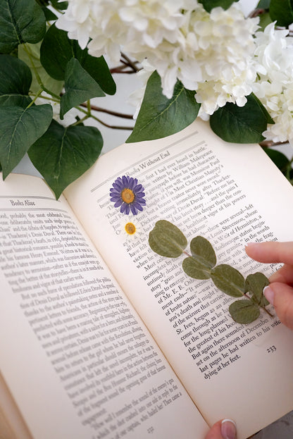 Rhysand Bookmark | For the One Who Loves Dark & Dangerous