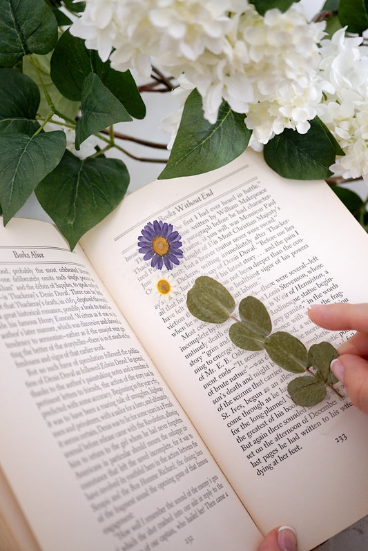 Rhysand Bookmark | For the One Who Loves Dark & Dangerous