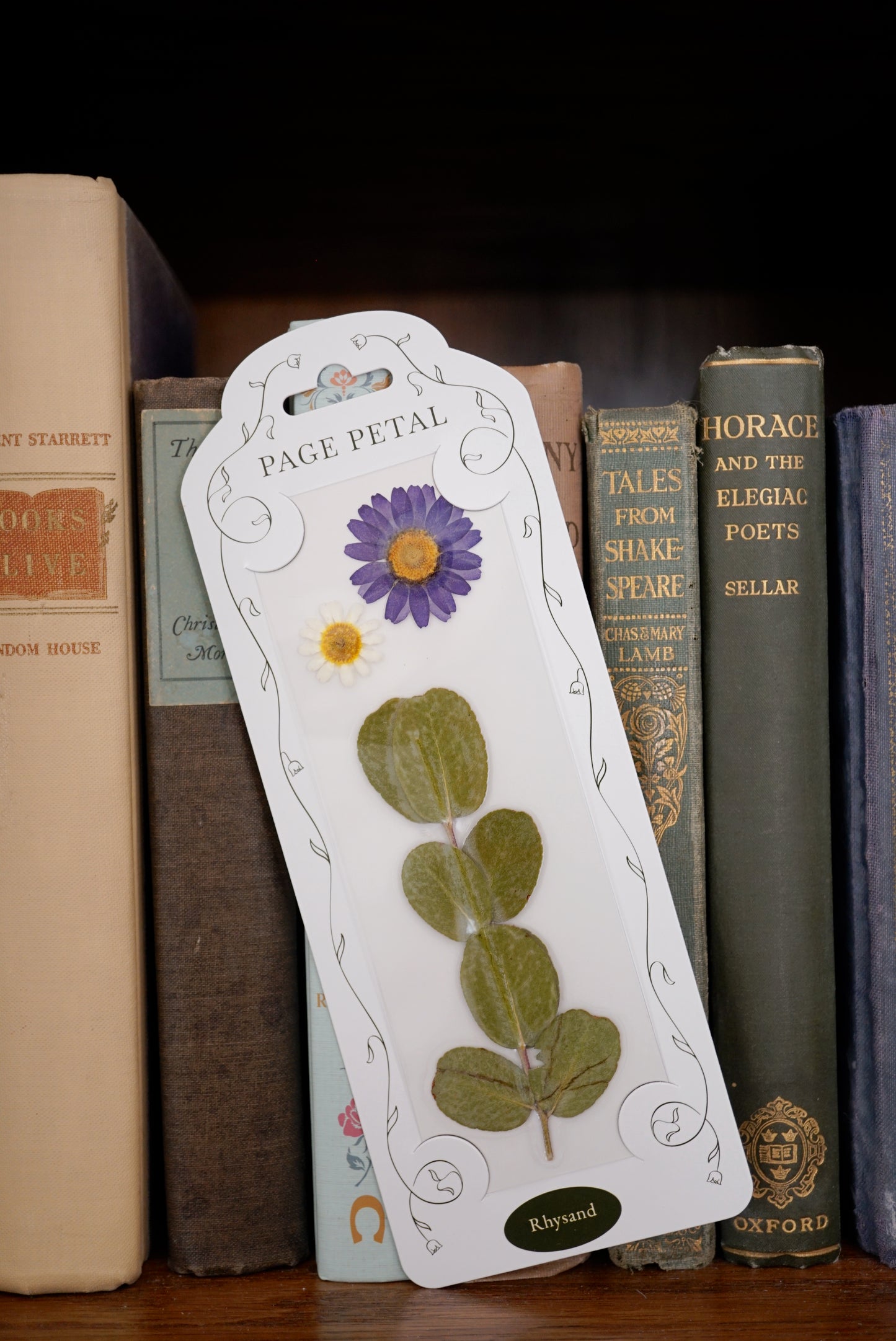 Rhysand Bookmark | For the One Who Loves Dark & Dangerous