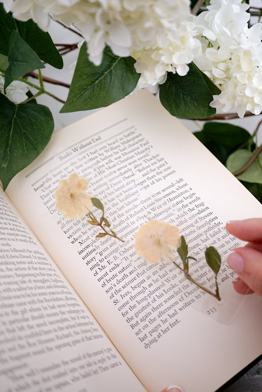 June Rose Bookmark | Birth Month Flower Gift