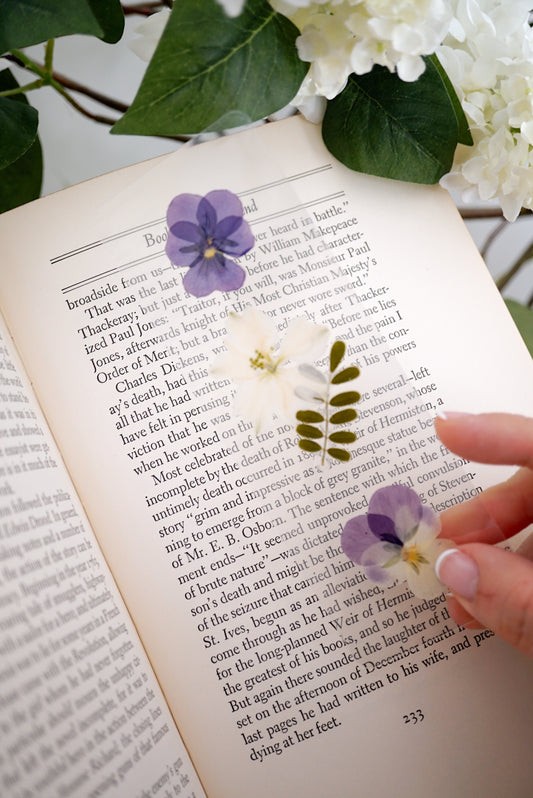 Addie LaRue Bookmark | For the One Who Won't Be Forgotten